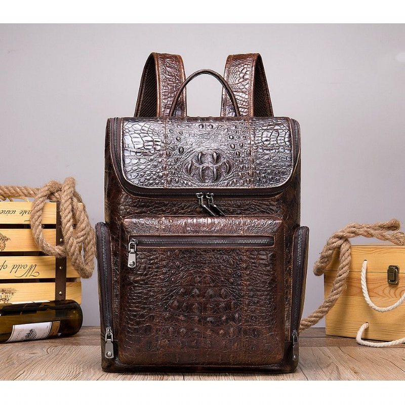 Ryggsekker Herre Vintage Chic Alligator Leather Tech Reiseryggsekk - Kaffe